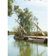 Private Albufera Tour from Valencia and Authentic Paella Experience