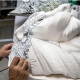 Valencia and Lladro Tour