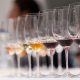 Private Wine Tasting