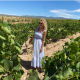 Private Valencia Wine Tour | Utiel-Requena Wineries with Valeria