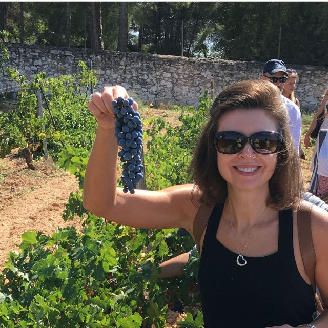Private Valencia Wine Tour | Utiel-Requena Wineries with Valeria